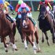 JRA フローラS(G2)「7年連続継続中」の法則!? 今年も“適合”騎手の「大穴馬」が急浮上!