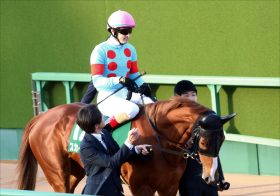 JRAスカイグルーヴの敗因は「意見の対立」だった!? ノーザンファームにとって大誤算。馬体重「大幅減」の理由とは……