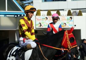 JRA和田竜二の「憂鬱」な週末!? 悪癖治らぬシゲルピンクダイヤと最強候補の同期、クイーンS（G3）お手馬2頭が揃って敗退は選択ミス？