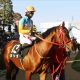 JRAデアリングタクト有馬記念(G1)回避も、あの馬が話題を独占! チャンピオンズCも「元々使う予定」…… 世紀の一戦さえまさかの調教替わり?