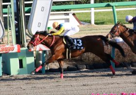 数分走って250万円獲得!? 衝撃の錬金術に競馬界も唖然……無念の回避も宝塚記念（G1）ヨシオの挑戦が示したもの