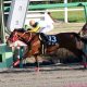 JRA「迷走」ジャパンカップにヨシオ以上の刺客!? 外国馬に嫌われた「高速馬場」もむしろ大歓迎、アルカセット以来の優勝に現実味