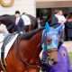 JRA有馬記念(G1)「意外な」豪華メンバーに一安心!? フィエールマンVSクロノジェネシスにラッキーライラック参戦、3歳バビットら「未完の大器」が続々……