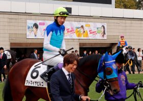 JRA「6億円馬」アドマイヤビルゴが最後の砦!? セレクトセール「最高額落札馬＆3億円超え」全馬の“トホホ”な末路……