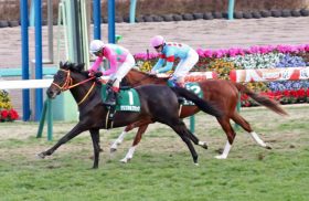 JRAクリスタルブラック「初物」づくしの京成杯快勝！ そして論議を呼ぶ「皐月賞直行」のローテーションはどう出るか？