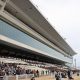 JRA アカイトリノムスメは「金取りの娘」!? 今年の秋華賞馬がエリザベス女王杯(G1)で信用するのが危険なワケ