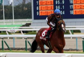 JRA天皇賞・春（G1）好調「モズ軍団」待望の長距離砲？ モズベッロは父ディープブリランテの救世主になれるか