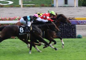 JRA東京新聞杯（G3）レッドヴェイロン「東京マイル大得意」の血が騒ぐ、ルメールで好走確実!?