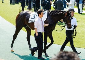 JRA「中山リピーター時代」の終焉!? ダービー卿CT（G3）プリモシーン＆マイスタイルに「黄信号」