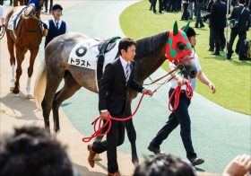 JRA「3月阪神」で障害頂上決戦!? オジュウチョウサンVSシングンマイケルの新旧王者対決に「大器」トラストが参戦！
