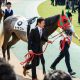 JRA「“伝説”健在」オジュウチョウサン9馬身差レコード圧勝！ 阪神スプリングジャンプ（G2）最優秀障害馬シングンマイケルら寄せ付けず