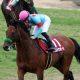 【速報】有馬記念(G1)枠順リアルタイム更新! クロノジェネシス、フィエールマン、カレンブーケドールの枠は!?