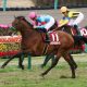 JRA「G1・13戦6勝」ルメールの居ぬ間にM.デムーロ!? 大阪杯(G1)ラッキーライラックに勝機あり