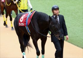 JRA「超良血馬」がまさかのダート転向。これで新種牡馬リオンディーズのダート適性も丸わかり!? 2歳戦のヒントは新潟に……