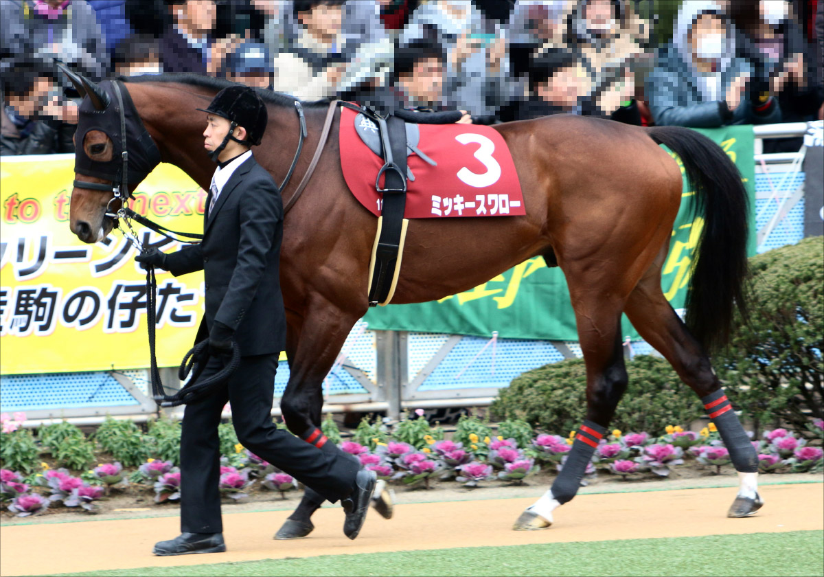 JRA「仕上がりに疑問符」フィエールマンVS「中山巧者」ミッキースワロー! 1年8か月ぶりの皐月賞3着馬も虎視眈々【オールカマー(G2)展望】の画像3