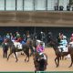 エフフォーリア、タイトルホルダーは消し? イクイノックスの仕上がりもズバリ! 競馬評論家・鈴木和幸のJRA有馬記念【最終追い切り診断】
