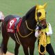 JRA菊花賞(G1)西山茂行オーナーが語った「異端の逃亡者」誕生秘話。グレード制導入以降「唯一」逃げ切ったセイウンスカイの伝説【特別インタビュー】