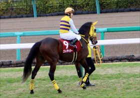 オジュウチョウサンにあって、ニシノデイジーになかったもの…JRA賞敗戦に西山茂行オーナーも落胆、新旧王者2頭に「暗黙ルール」が適用されなかった背景