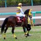 JRA京都記念(G2)横山武史「降板説」にファンやきもき!? ドウデュース、キラーアビリティと超豪華「G1級対決」が実現