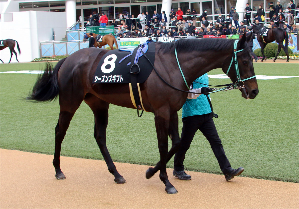 JRA良馬場なら「武豊×パラスアテナ」にチャンスあり!? 「オークス敗戦組」マルターズディオサら中心も混戦模様【紫苑S(G3)展望】の画像3