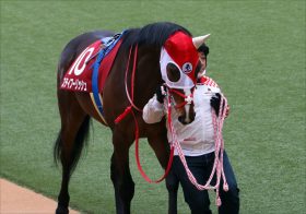 JRA 香港ヴァーズ（G1）武豊「絵に描いたような大団円」感動のラストランから“20年”！ステイゴールドそっくりの息子が父へ捧げる「3勝目」