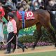 JRA 香港マイル(G1)「15連勝中」ゴールデンシックスティが襲来!? グランアレグリア不在の日本に16年ぶり脅威