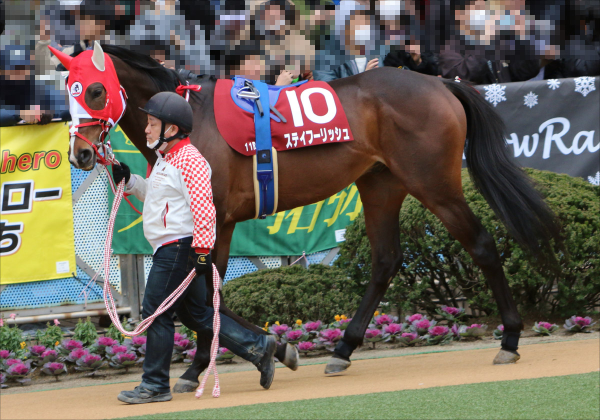 香港ヴァーズ（G1）展望】父ステイゴールドの感動20年ぶり再現なるか。“善戦マン” ステイフーリッシュがたどり着いた「黄金旅程」の果て | GJ