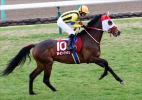 JRAコントレイルに“ボコボコ”も「恒例行事」!? 追い切り“惨敗”ステイフーリッシュにオールカマー（G2）激走気配