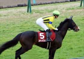 JRA天皇賞・春「大変身」スティッフェリオあわやの大金星！ 「抜け出した時の手応えはあったけど……」絶対王者フィエールマンを追い詰めた舞台裏