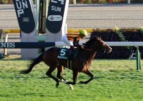 JRAきさらぎ賞（G3）大本命アルジャンナ「切り」！ 現場から得た強力情報から発見した「伏兵」を狙う！