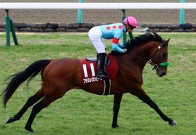 JRA宝塚記念（G1）ブラストワンピース×川田将雅コンビ継続！ 近年稀に見る好メンバー揃うも巻き返しの余地あり