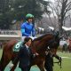 JRA・C.ルメール「川田・武豊」に見せつけた大爆発9勝!「ビッグチャンスでした」5連勝&フェブラリーS(G1)モズアスコット圧勝締め