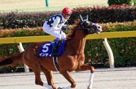 JRA武豊が高らかに「勝ち宣言」!? フェブラリーS（G1）「コマッタ君」インティの“前走惨敗”は「悪くない材料」