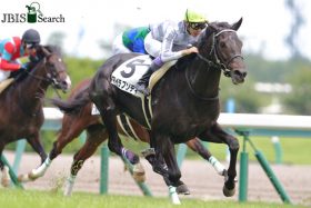 JRA共同通信杯（G3）ガチな「現場の声」から選んだ至高の1点勝負を敢行！ 「鉄板」とも言える1点勝負のワケは……