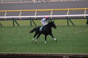 JRA武豊マイラプソディ敗因は「調整ミス」!? 皐月賞（G1）は追い切り内容に注目!?