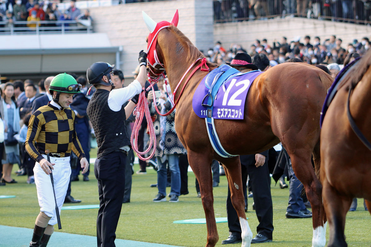 JRA・C.ルメール「川田・武豊」に見せつけた大爆発9勝!「ビッグチャンスでした」5連勝&フェブラリーS(G1)モズアスコット圧勝締めの画像2