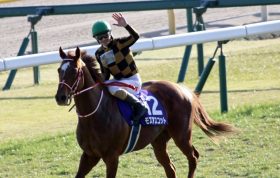 JRAモズアスコット史上6頭目の芝ダートのダブル王者！ 過去の5頭と実績比較、将来性は？