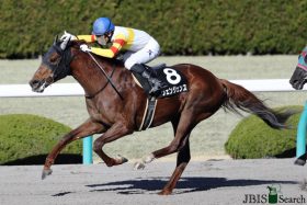 JRAフェブラリーS（G1）武豊インティに「先着」ヴェンジェンス、「世界的良血」父が果たせなかったG1制覇へ！