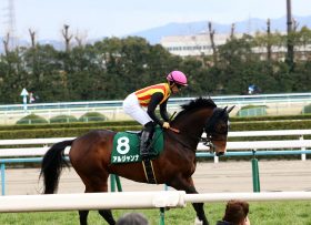 JRA「ディープ産駒の庭」で確勝級!? 毎日杯（G3）アルジャンナ「川田→ヒューイットソン」乗り替わりは問題なし！