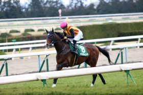 JRAコントレイルと人気を分け合った期待馬が「ダート」「短距離」転向!? 中内田厩舎が行った「奇策」と異なる点が謎を深める……