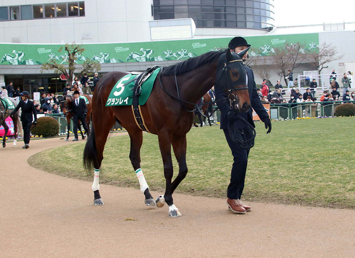 【アーリントンC(G3)展望】JRA騎手の移動制限に要注意!! 朝日杯FS(G1)2着のタイセイビジョンに、ギルデッドミラー、プリンスリターンらが挑むの画像2