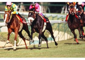 JRA「伝説」ナリタブライアンVSマヤノトップガンのマッチレース！ 長距離名手の武豊が3冠馬の意地を引き出した96年阪神大賞典（G2）