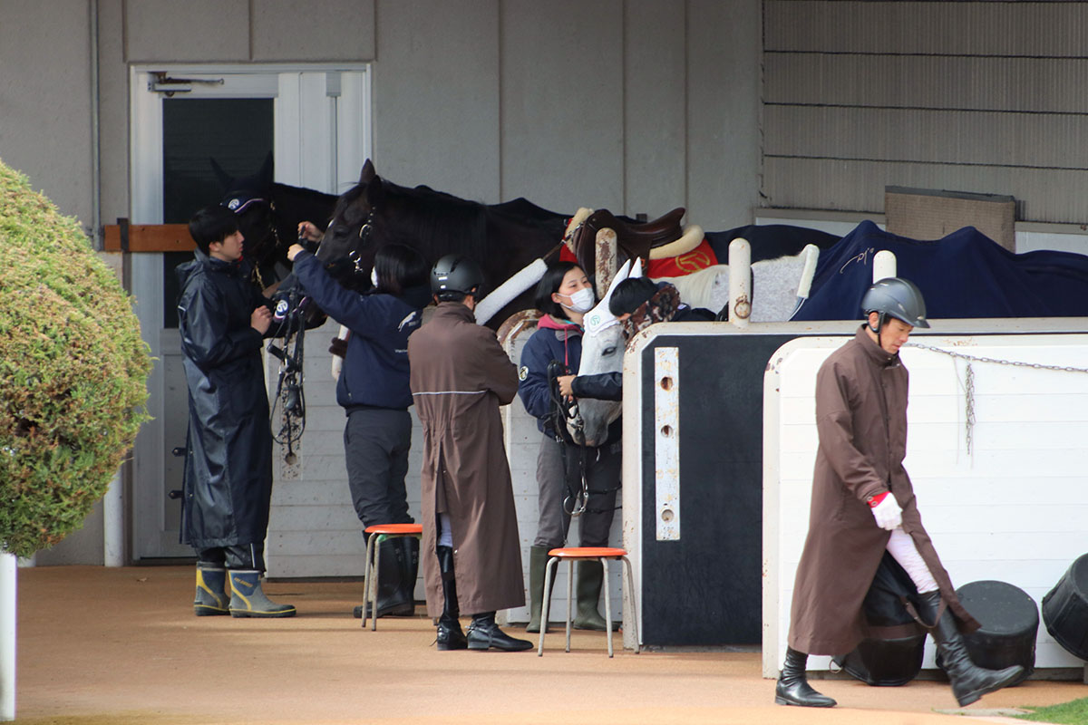 JRA馬運車襲撃の大ショック……住民から「帰れ！」新型コロナウイルス対策徹底の中、函館競馬開幕も……の画像1