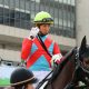 安藤勝己氏「予言」ピタリ!? 「完成度でコントレイルの後塵を拝してきたけど……」有馬記念(G1)11番人気サラキア2着激走に「あの馬」の大進化の期待高まる