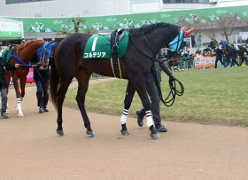 JRA皐月賞（G1）栗東からコルテジア「まさかの情報」入手！ 波乱を起こす可能性を秘めているのは……？