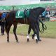 JRA・M.デムーロの隠れたファインプレー!? 日本ダービー(G1)ダーリントンホールの皐月賞惨敗の影にあった「馬優先主義」とは