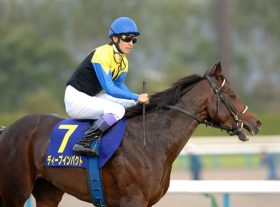 【弥生賞】ディープインパクトだけじゃない！ 過去に制した怪物達～アグネスタキオン・フジキセキ・シンボリルドルフ・ハイセイコーなど～