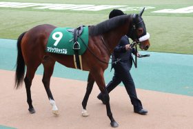 JRA【阪神牝馬S（G2）展望】今年はデアリングタクト世代が中心!? 桜舞う仁川の舞台でマジックキャッスルとリアアメリアが激突