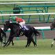 JRA「1億9440万円」スワーヴエルメは異色の血統!? 期待の大器は連敗ストップで父ドゥラメンテの名誉を挽回できるか