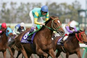 【高松宮記念】JRA歴代最強のスピード王は？ サクラバクシンオー、ロードカナロア、ビリーヴ、カレンチャン、ファインニードル、それとも？